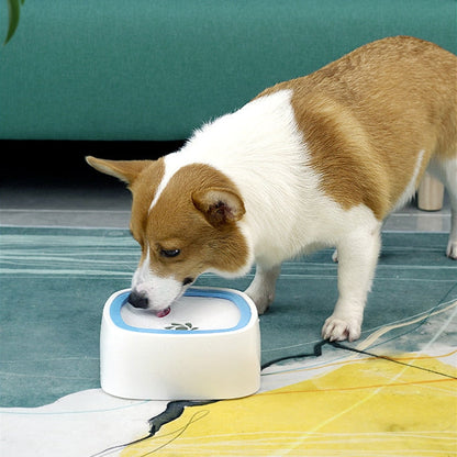 Leak Resistant Dog Water Bowl Feeder