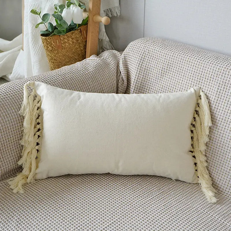 Decorative Fringed Throw Pillow