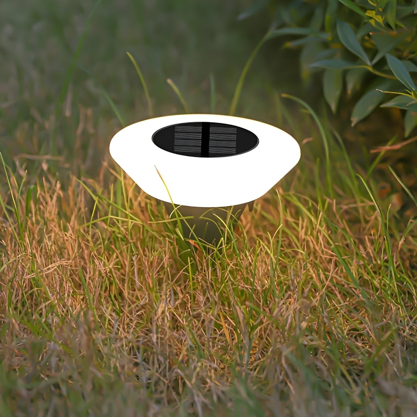 Bright Eco Friendly Outdoor Solar Lamp