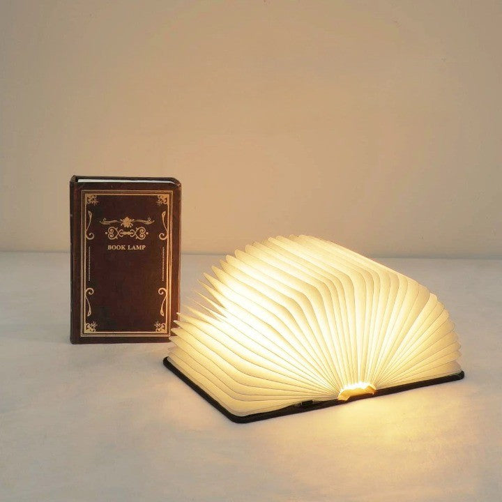 Contemporary Slim LED Desk Lamp