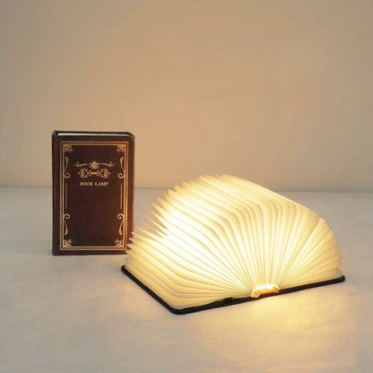 Contemporary Slim LED Desk Lamp