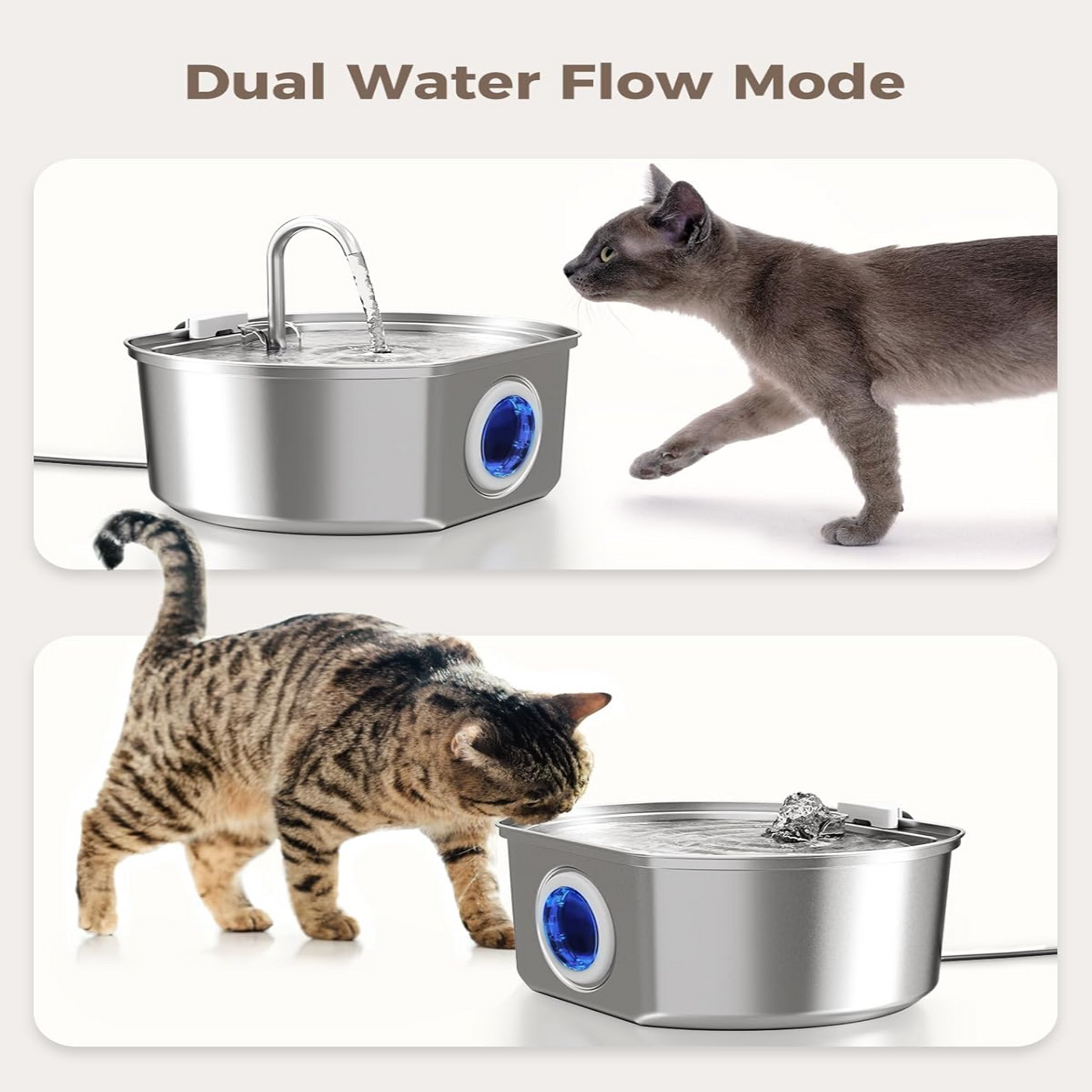 Easy Clean Pet Water Dispenser Fountain