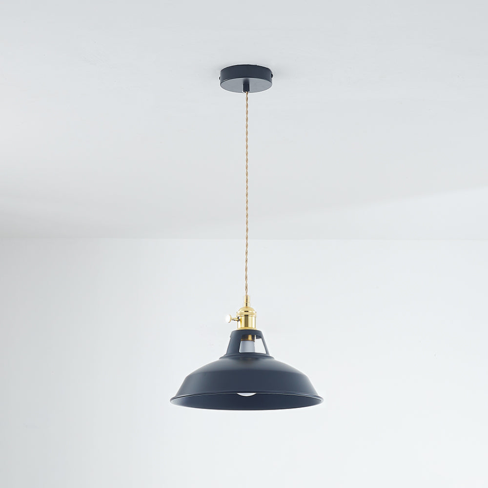 Elegant Modern Metal Chandelier Light Fixture