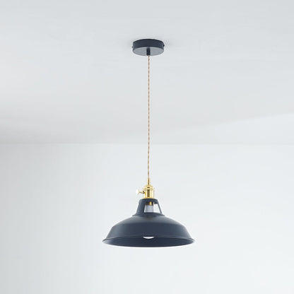Elegant Modern Metal Chandelier Light Fixture