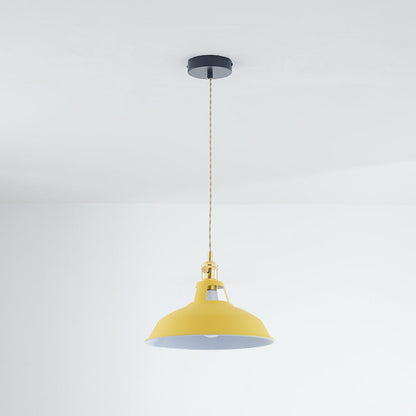 Elegant Modern Metal Chandelier Light Fixture