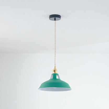 Elegant Modern Metal Chandelier Light Fixture