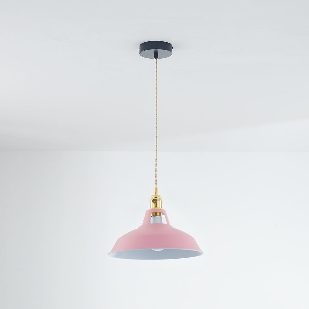 Elegant Modern Metal Chandelier Light Fixture