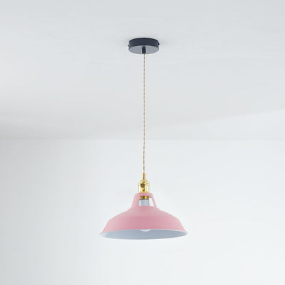 Elegant Modern Metal Chandelier Light Fixture