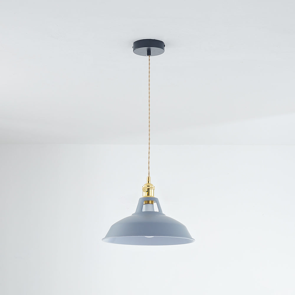 Elegant Modern Metal Chandelier Light Fixture