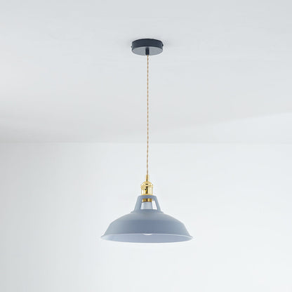 Elegant Modern Metal Chandelier Light Fixture