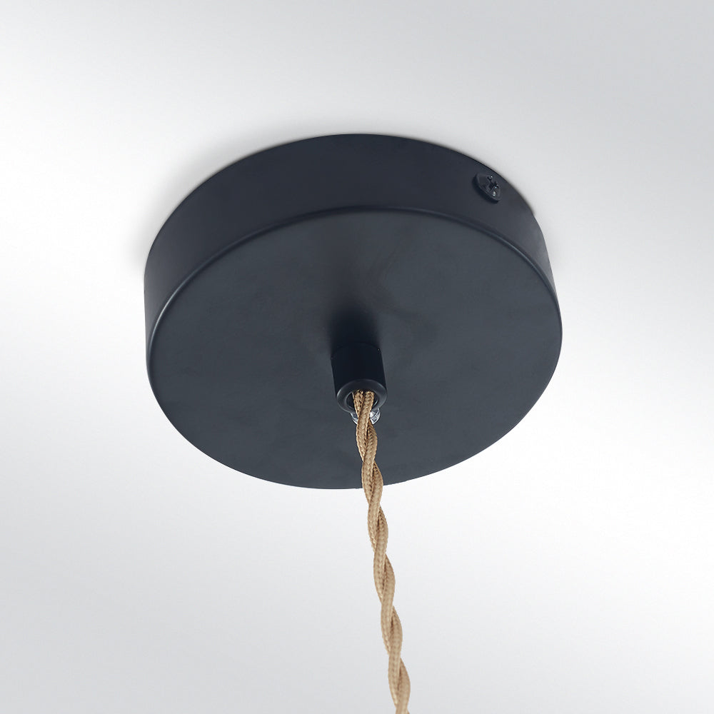 Elegant Modern Metal Chandelier Light Fixture