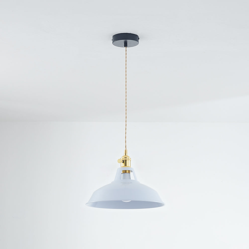 Elegant Modern Metal Chandelier Light Fixture