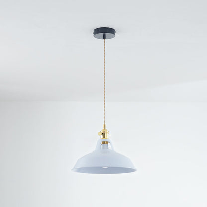 Elegant Modern Metal Chandelier Light Fixture