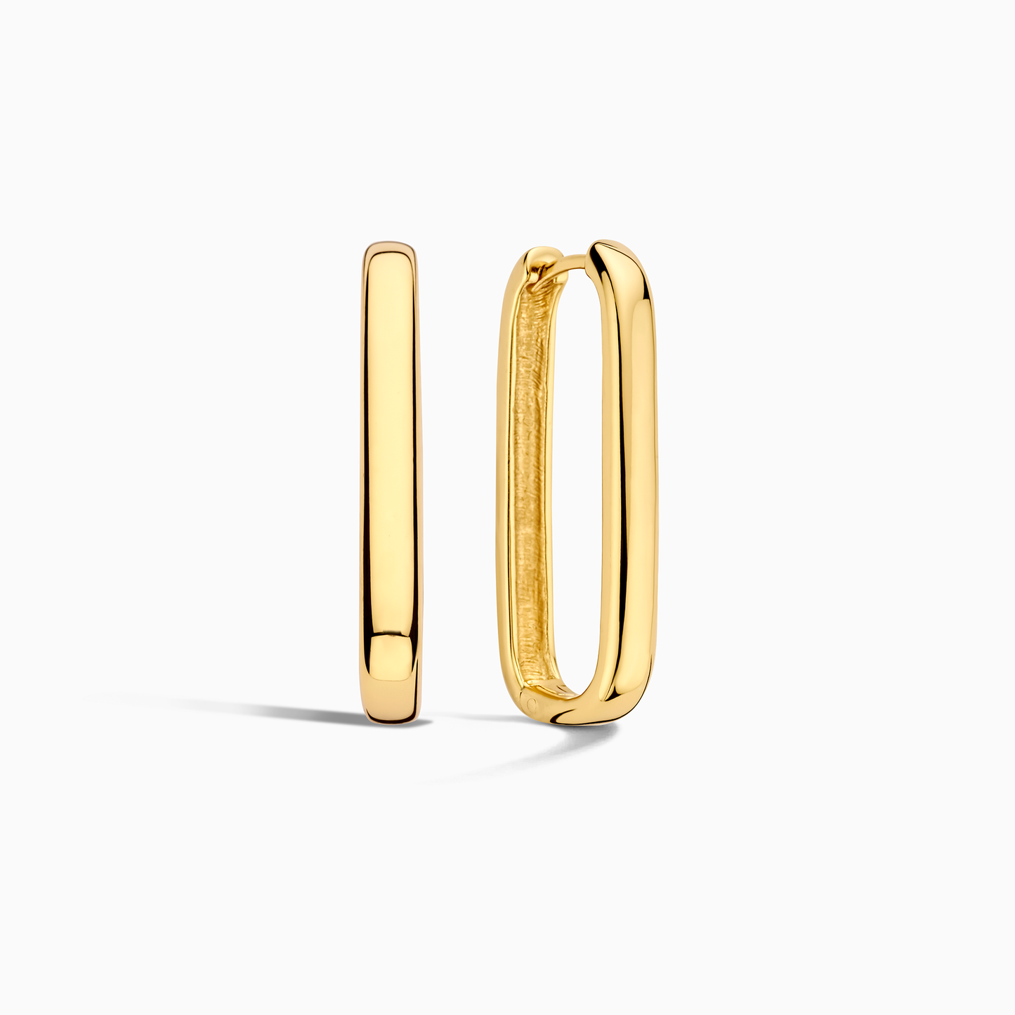 Big Classic Gold Circle Earrings - Luxicro