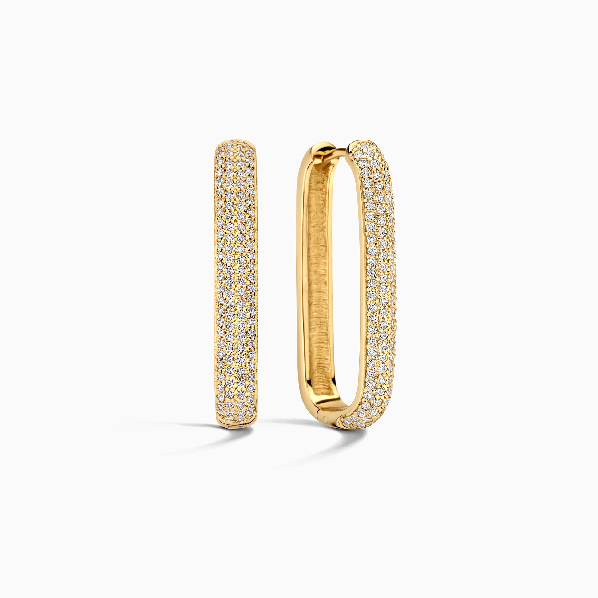 Big Luxury Circle Earrings - Luxicro