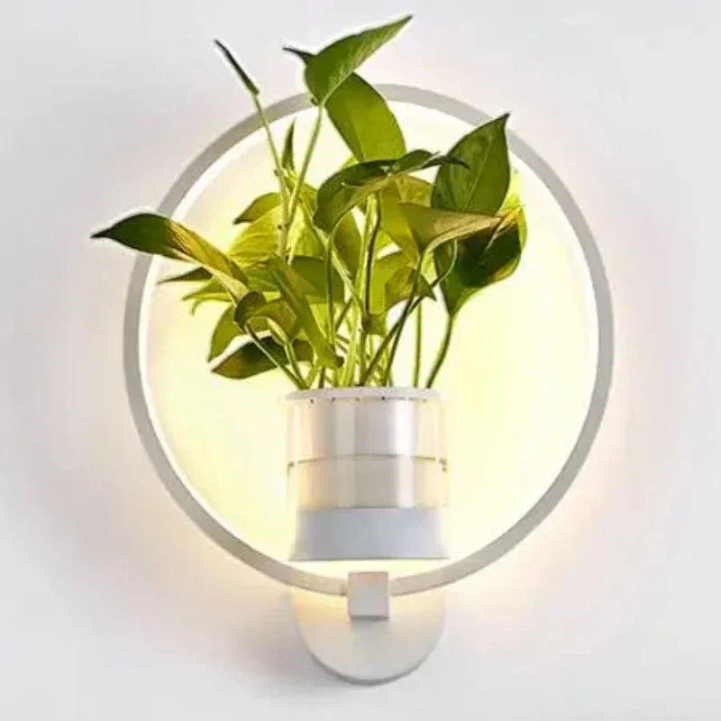 Contemporary LED Wall Lamp Warm White Lighting