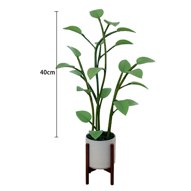 Bright Tabletop Grow Light Lamp