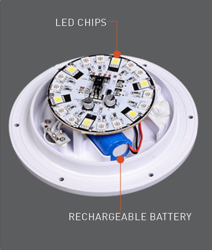 Bright Portable LED Desk Lamp