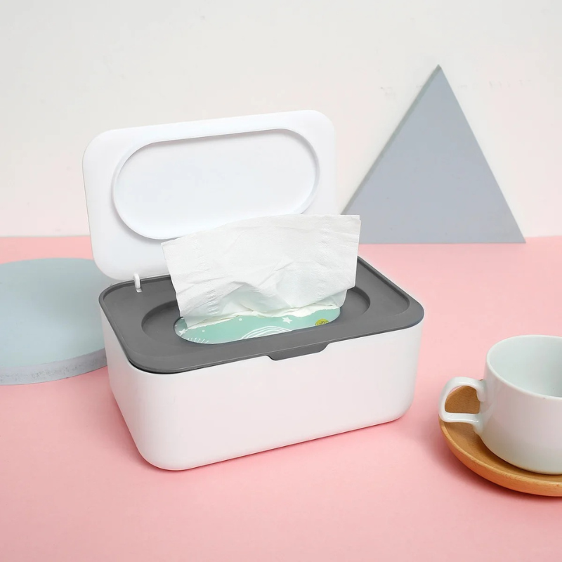 Fresh Wet Wipes - Luxicro