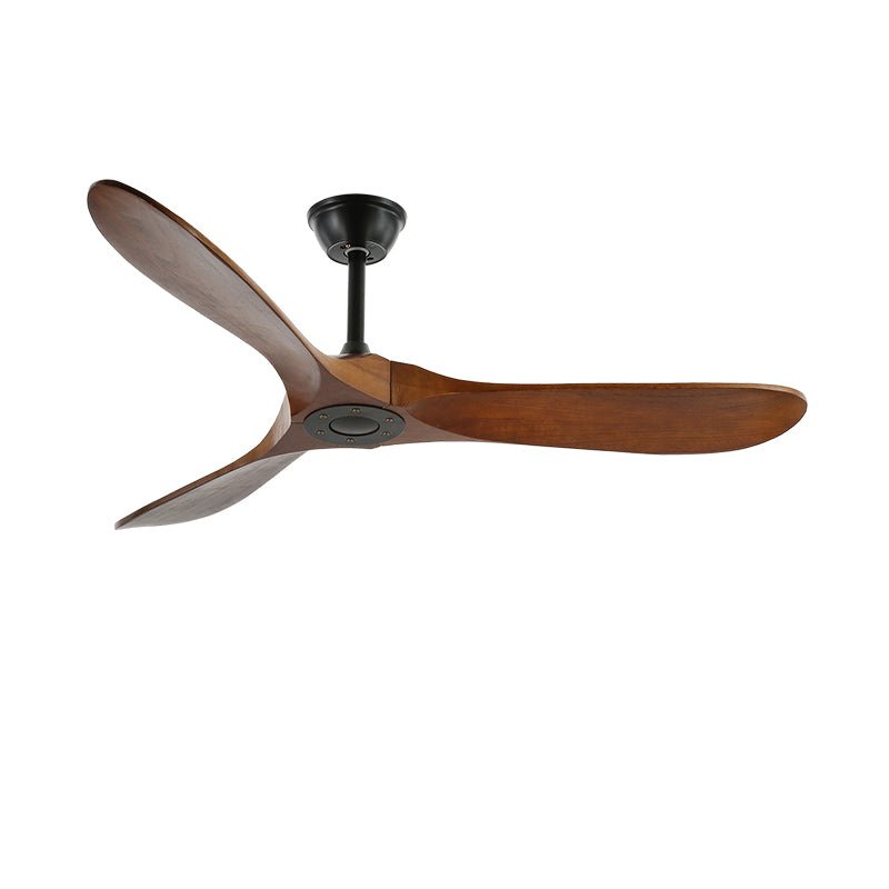 Silent Contemporary Ceiling Fan With Remote