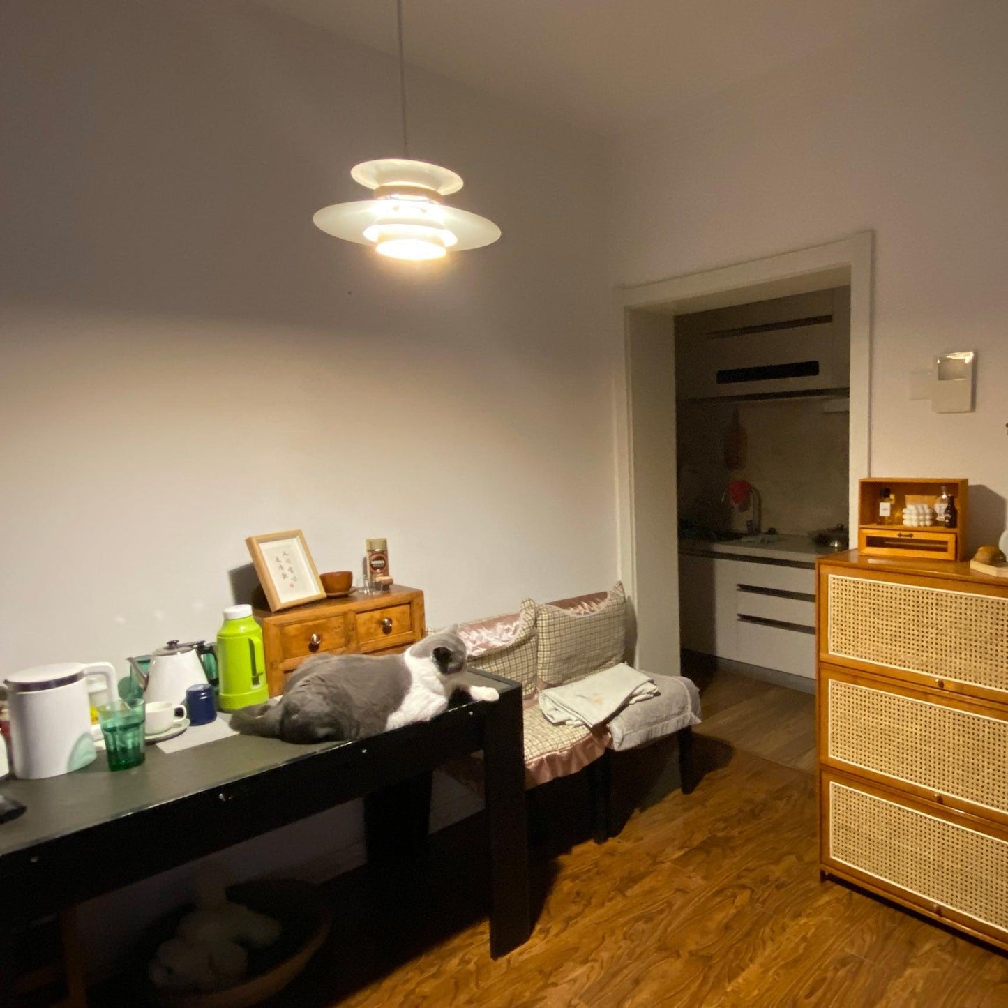 Stylish Pendant Light