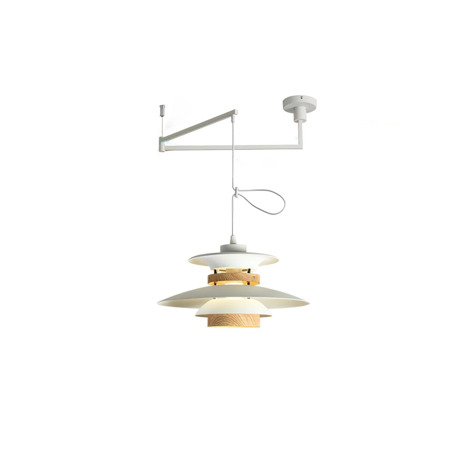 Adjustable Pendant Light with Flexible Arm
