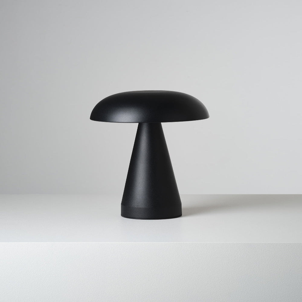 Contemporary USB Rechargeable Metal Desk Lamp