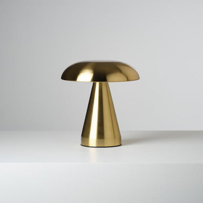 Contemporary USB Rechargeable Metal Desk Lamp