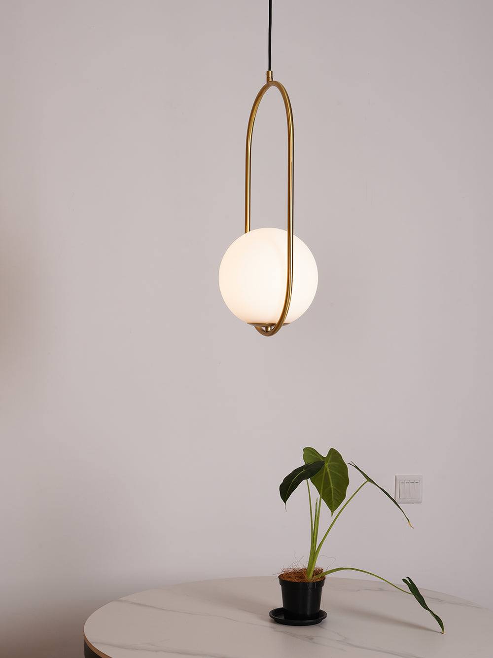 Chic Contemporary Hanging Light