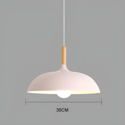 Stylish Wood LED Ceiling Lamp Fixtures