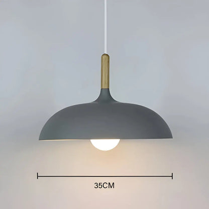 Stylish Wood LED Ceiling Lamp Fixtures