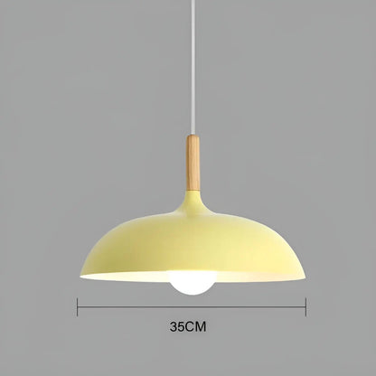 Stylish Wood LED Ceiling Lamp Fixtures