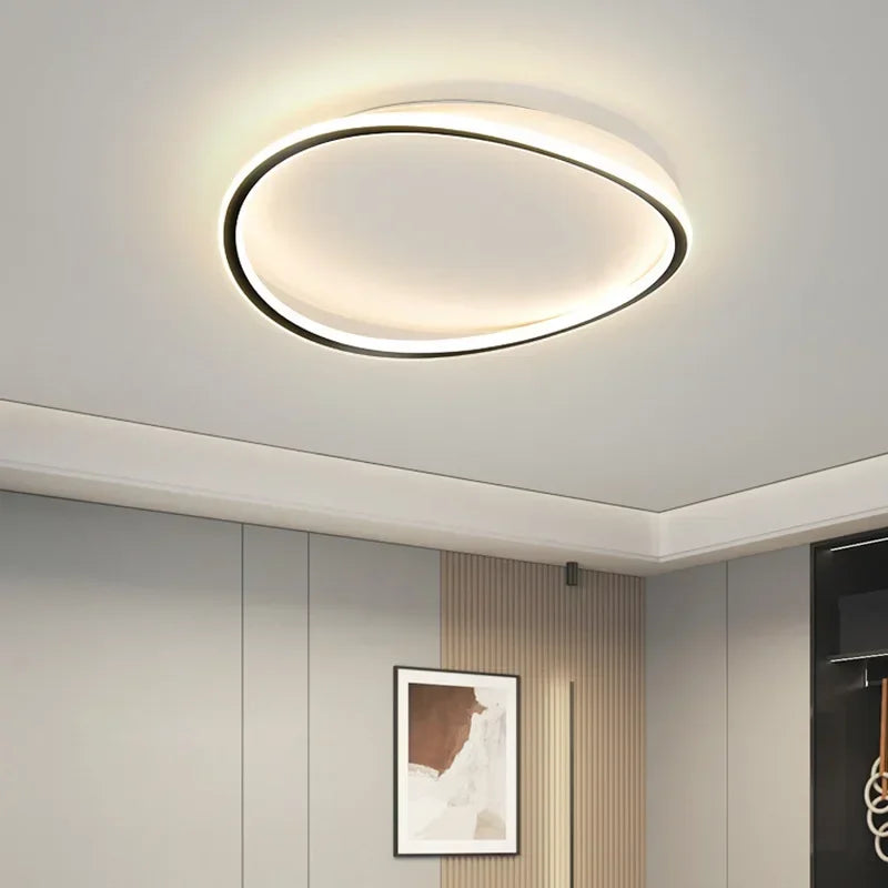 Thin Modern Overhead Light Fixture