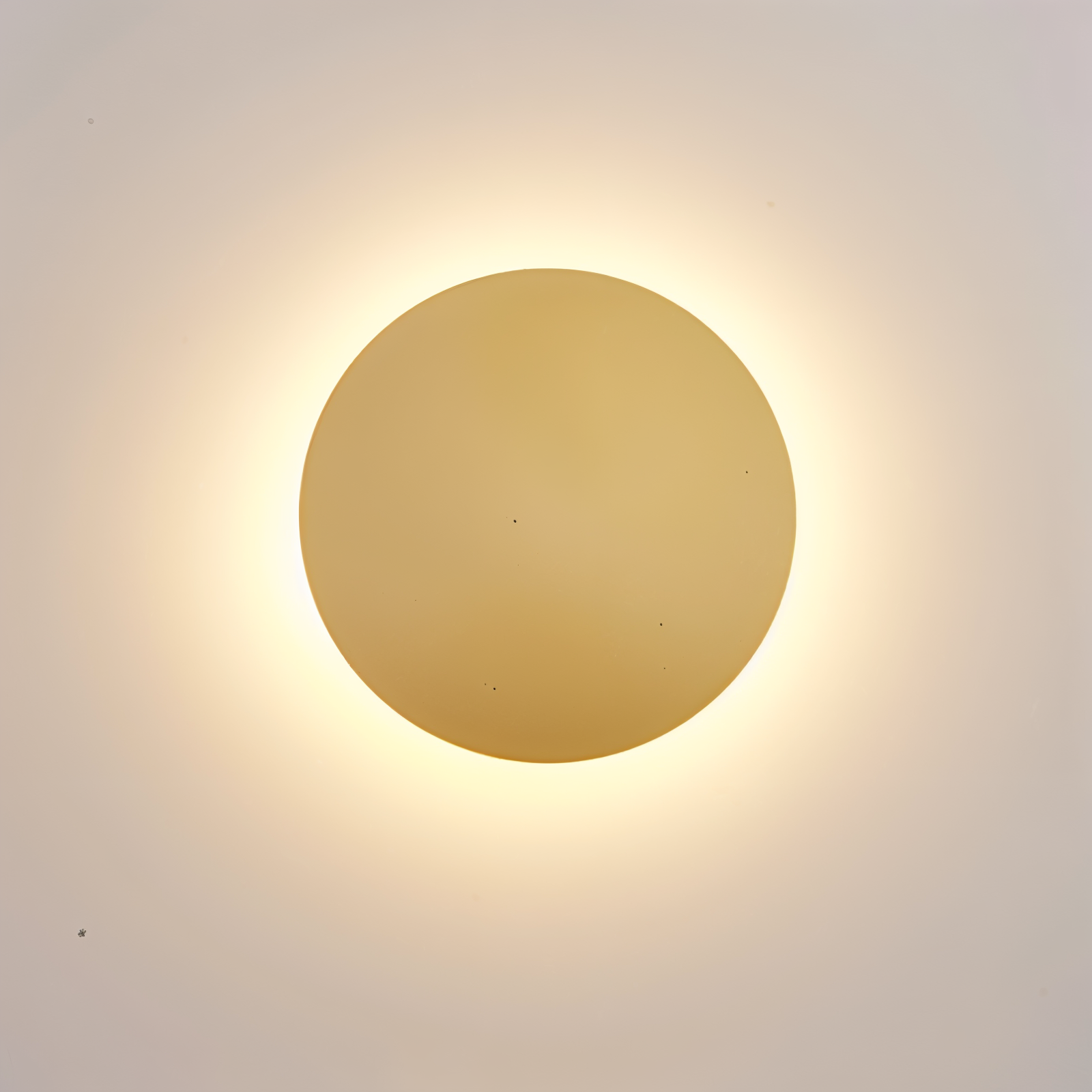 Simple LED Wall Sconce Light - Luxicro