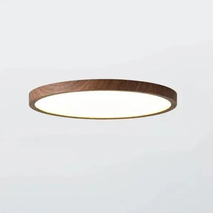 Compact Circular LED Light Fixture