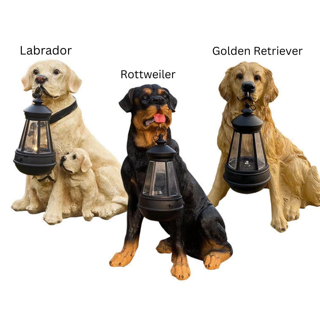 Outdoor Solar Powered Dog Lamp