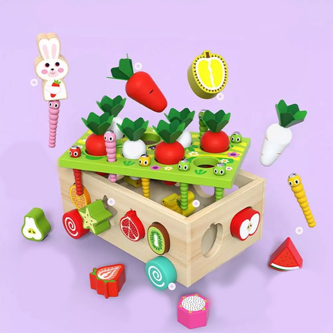 Colorful Kids Shape Sorting Educational Toy Set