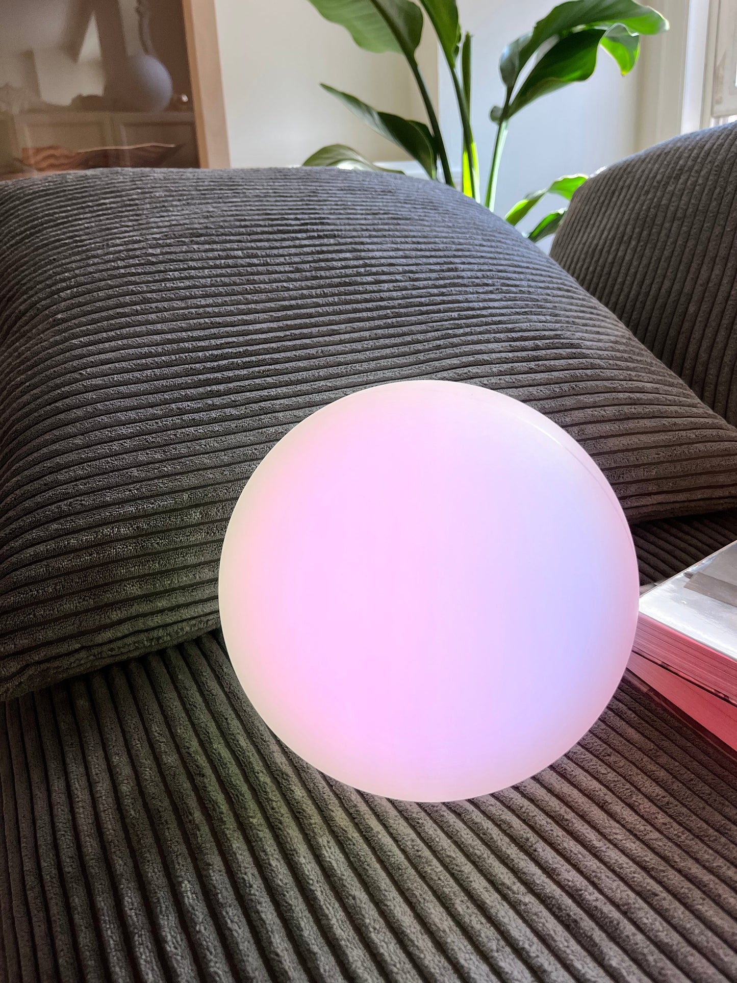 Bright Portable LED Desk Lamp