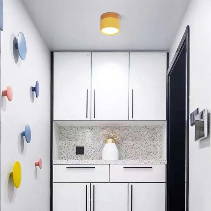 Slim Modern LED Ceiling Light