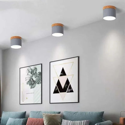 Slim Modern LED Ceiling Light