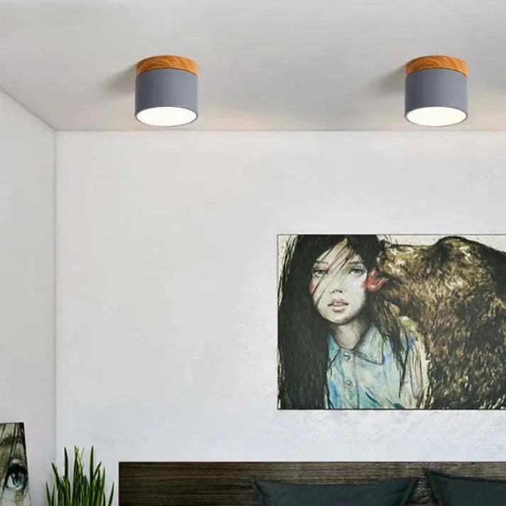 Slim Modern LED Ceiling Light