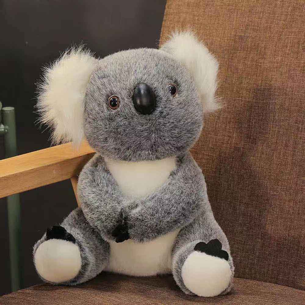 Cuddly Australian Koala Soft Toy