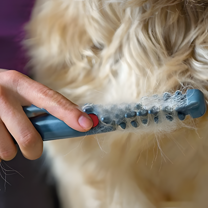Simple Animal Hair Brush