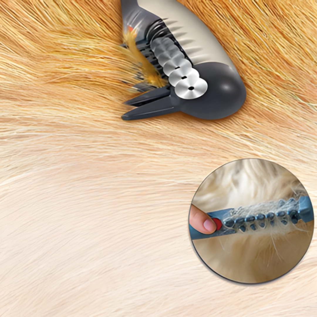 Simple Animal Hair Brush