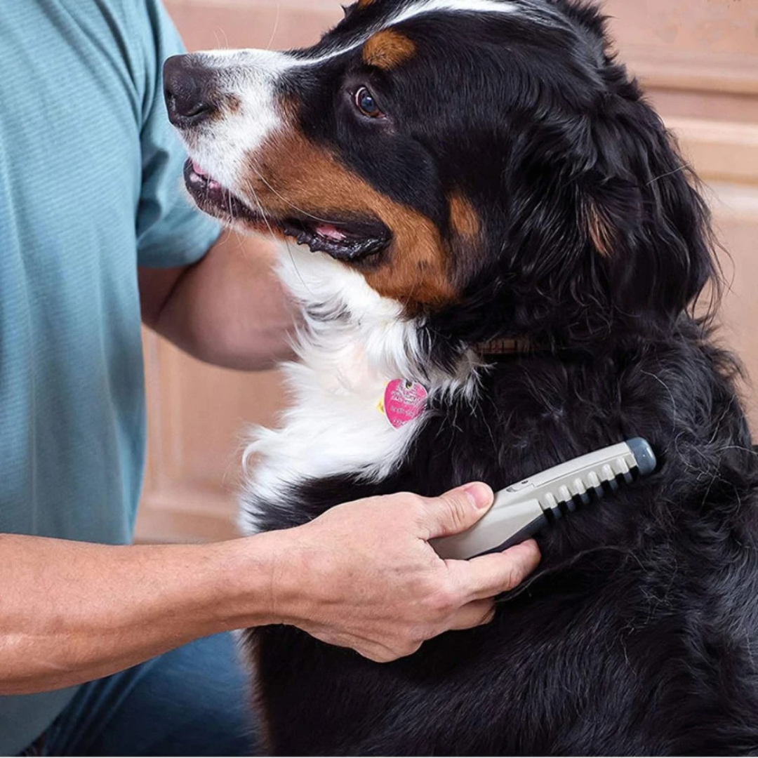 Simple Animal Hair Brush