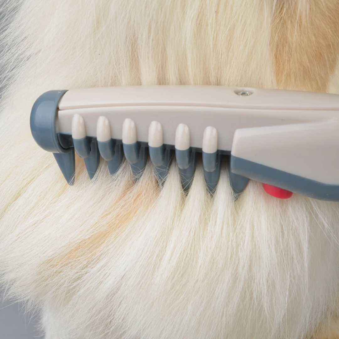 Simple Animal Hair Brush