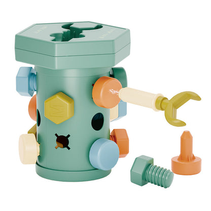 Colorful Wooden Screw Toy Set