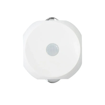 Energy Saving Motion Night Light Wall Lamp