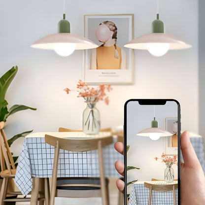 Stylish Metal Pendant Lighting – Industrial Shade