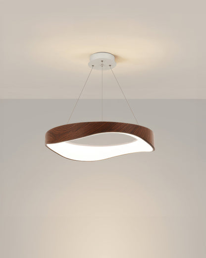Stylish Circular LED Pendant Light Fixture